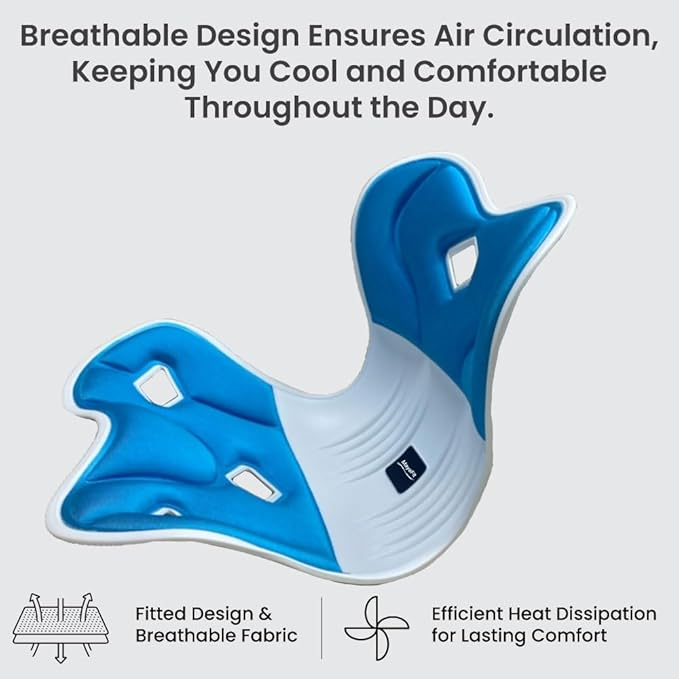 Ergonomic Lumbar Support Cushion, Blue, 44.5mm x 410mm x 340mm, Standard Size, for Shoulder and Back Posture, 110-265 lbs Capacity
